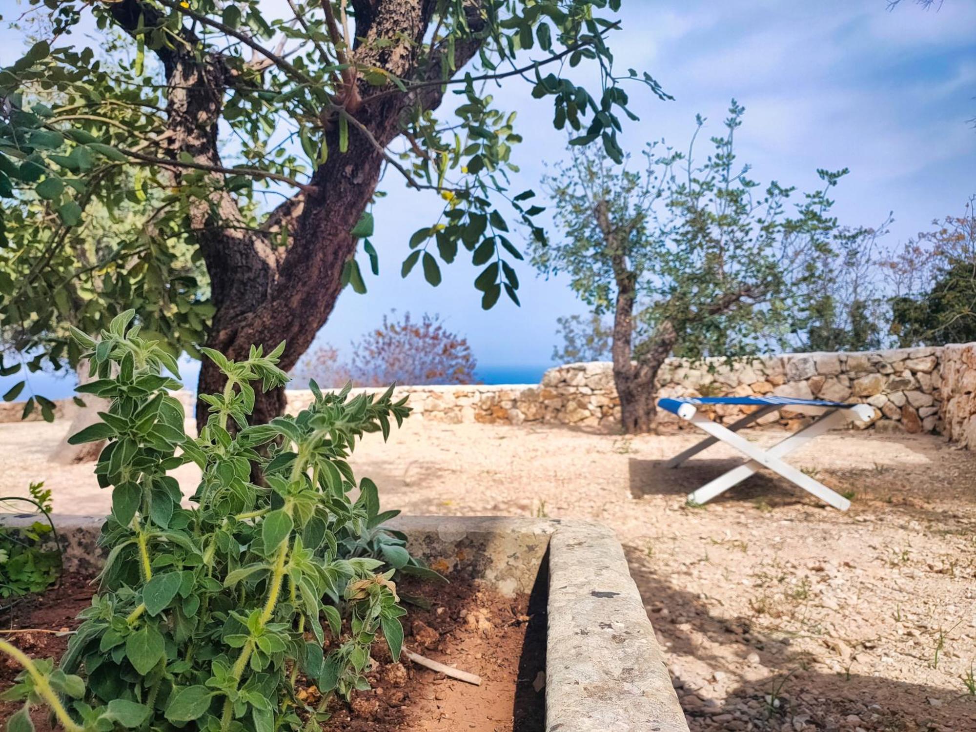 Le Pajare Di Marina Serra Di Casa Camilla Journey Exteriör bild