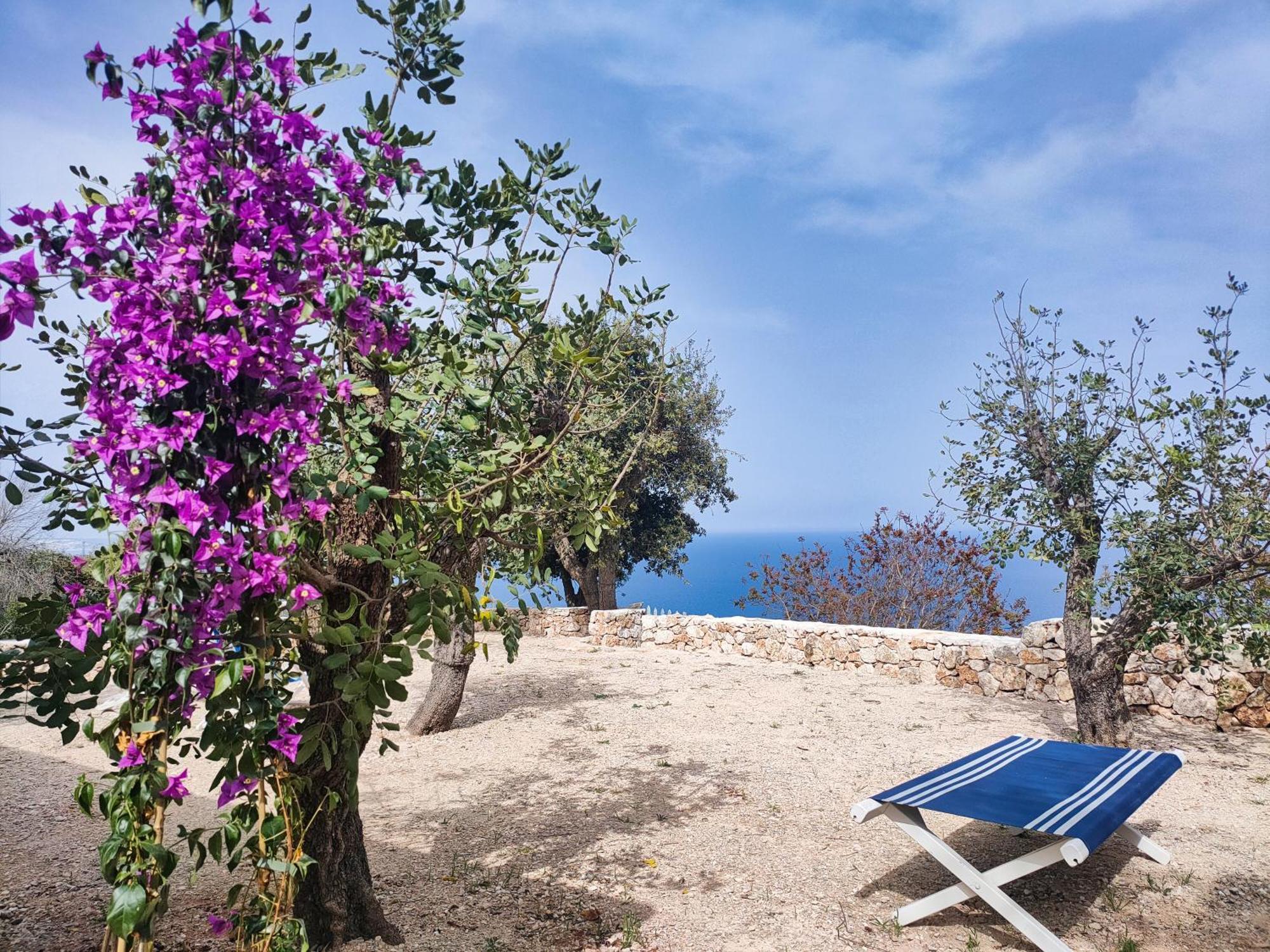 Le Pajare Di Marina Serra Di Casa Camilla Journey Exteriör bild
